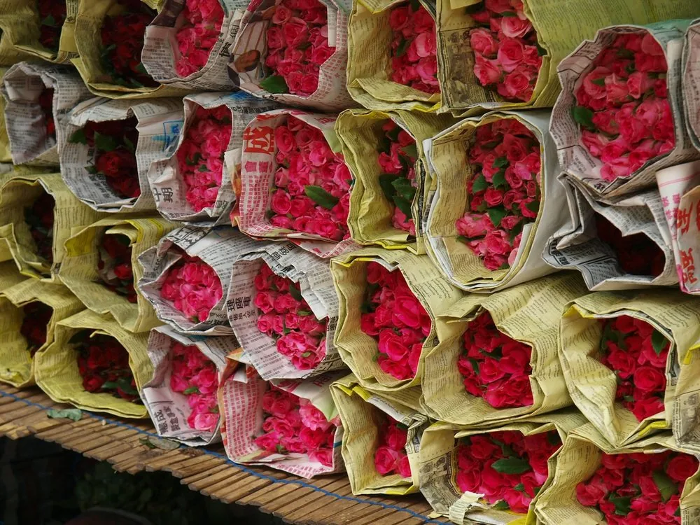 Bunches of pink roses wrapped in paper and stacked for sale