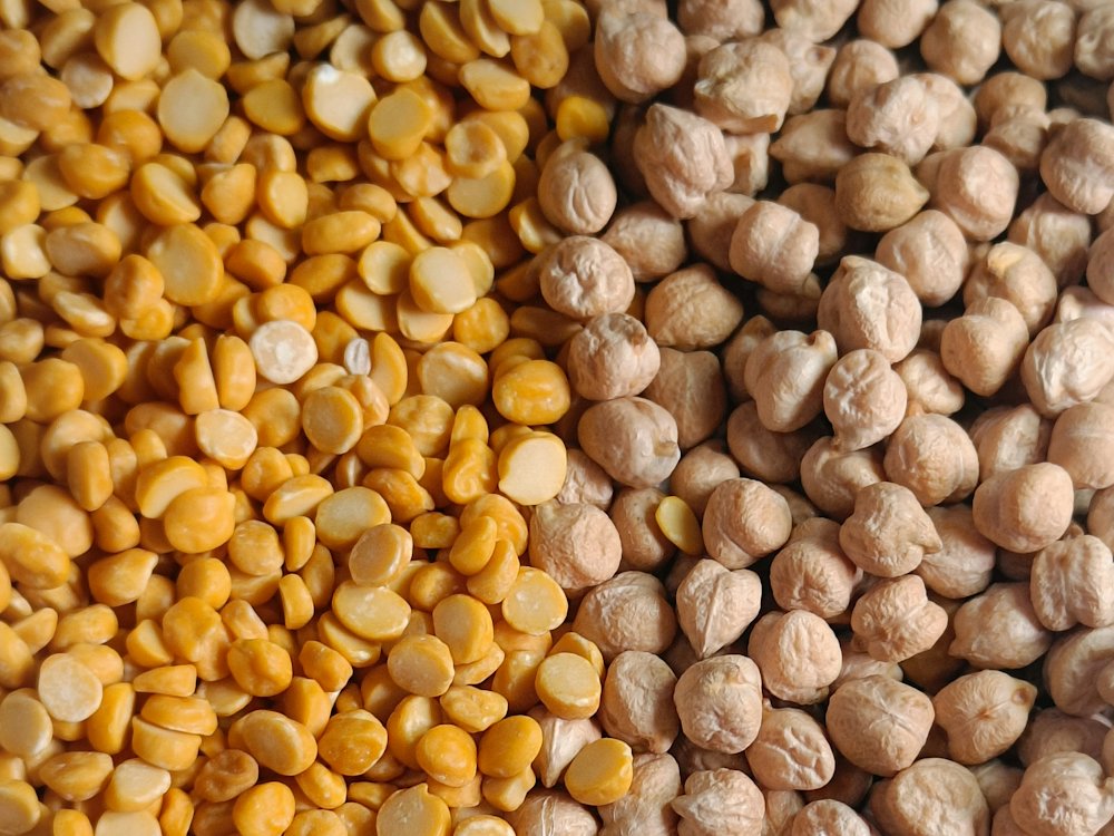 Kabuli chickpeas and split chana dal side by side