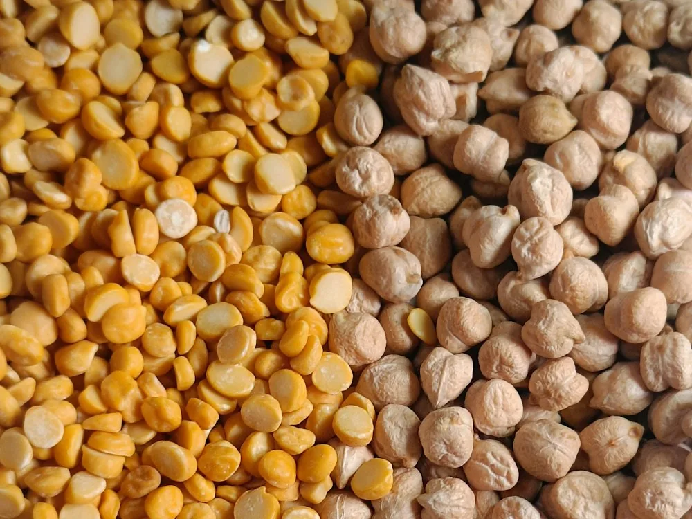 Kabuli chickpeas and split chana dal side by side