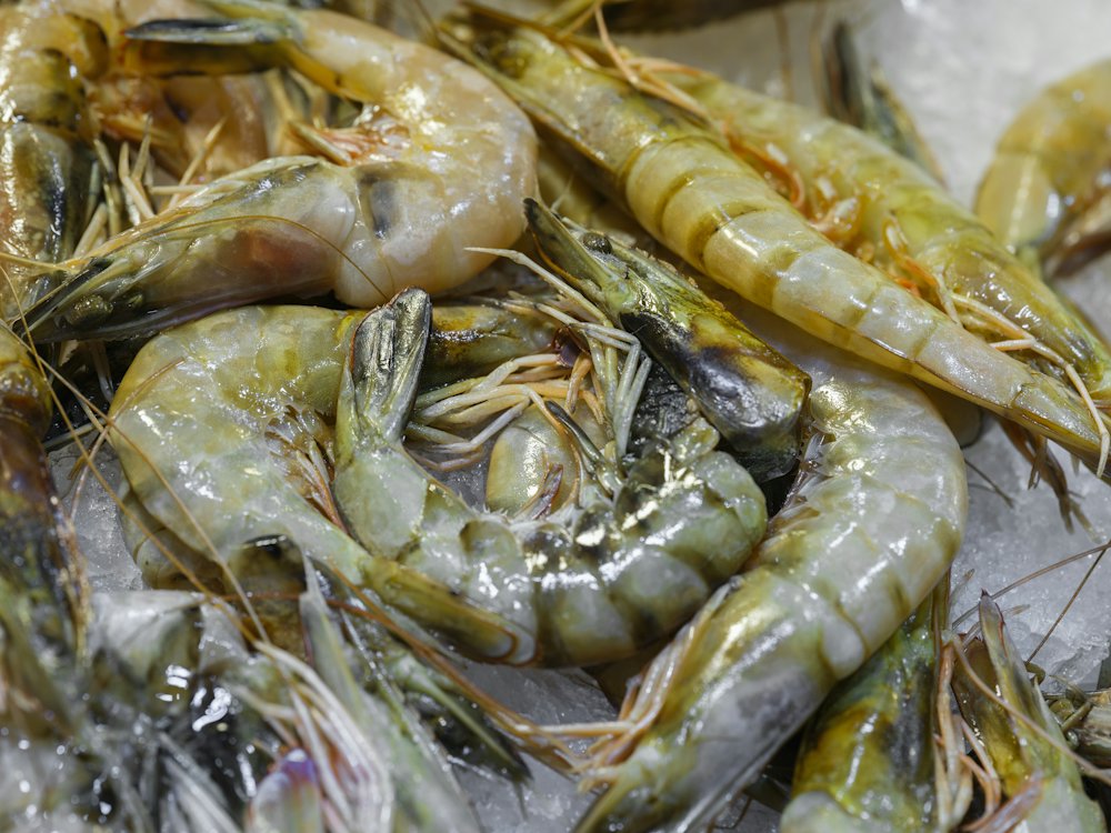 Fresh raw shrimp kept on crushed ice